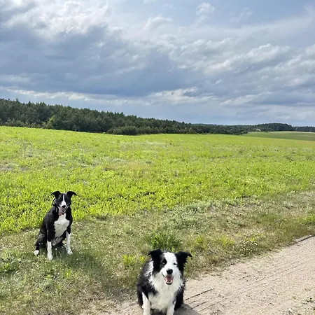 Stacja Kolczela - Letniskowe Nad Jeziorem