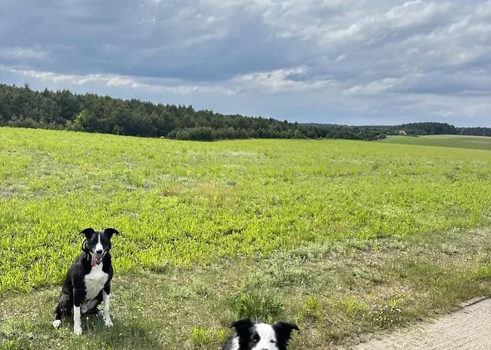 Stacja Kolczela - Letniskowe Nad Jeziorem