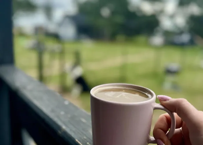 Stacja Kolczela - Letniskowe Nad Jeziorem 度假居 *